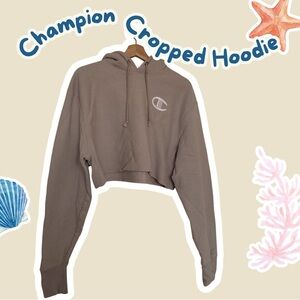 Champion Cropped Hoodie in Taupe Brown